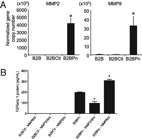 Mmp 2 And Mmp 9 Mediate Periostin Induced Tgf β Up Regulation In Airway