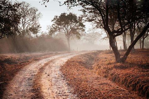 Bandipur National Park ~ ml koottuz