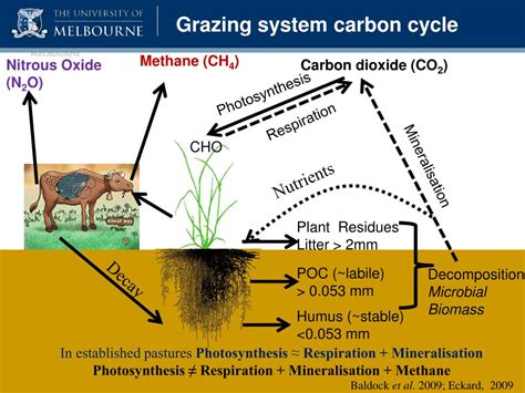 Ppt The Carbon Farming Initiative And Agricultural Emissions