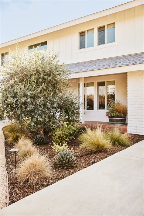 Guide to Drought Tolerant Landscaping: What, Why, and How | Yardzen