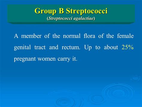 Streptococci By Prof Amkambal Ppt Download