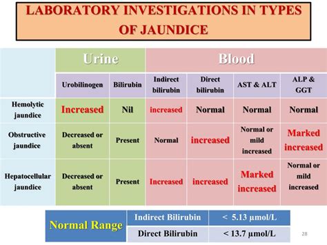 Ppt Liver Function Tests Lfts Powerpoint Presentation Free Download Id2874310