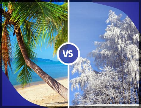 Summer Vs Winter The Debate Digital Vacation Quest Blog