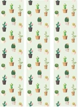 Cactus Bulletin Board Borders by Prepare Teach Learn Share | TpT