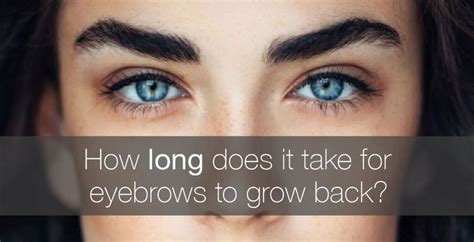 How Long Does It Take For Eyebrows To Grow Back Eyebrows Slow Hair