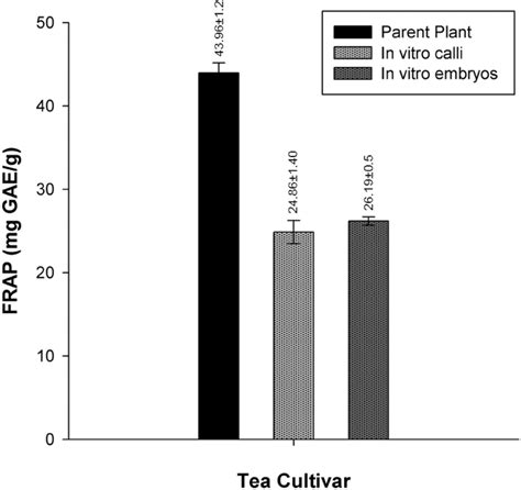 Ferric Reducing Antioxidant Power FRAP Assay Of Hot Water Extracts Of