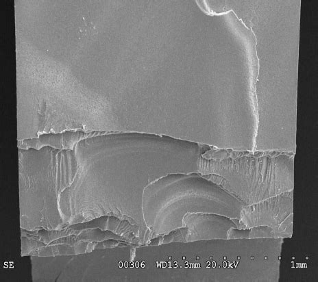 Plastic Failure Through Environmental Stress Cracking