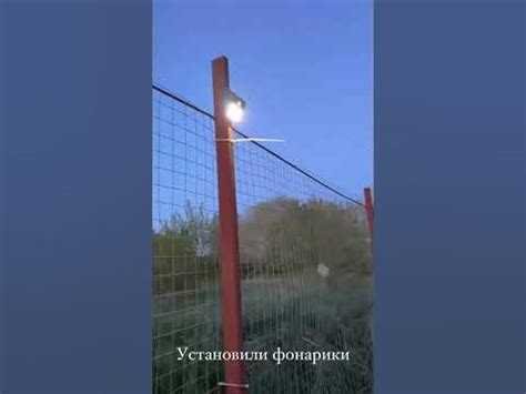 Если вы любите животных также как мы, присоединяйтесь к нашей дружной ...
