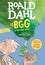 Le Bgg Le Bon Gros G Ant De Roald Dahl Poche Livre Decitre