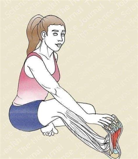 Exercises To Heal An Adductor Strain Artofit