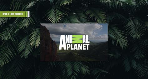 Animal Planet / Broadcast :: Behance