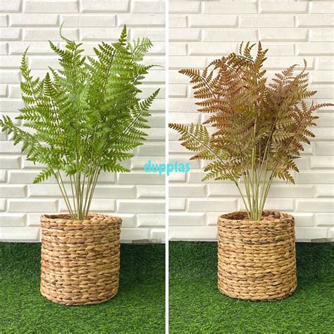 Jual Pohon Daun Pakis Boston X15 Latex Artificial Cover Pot Eceng