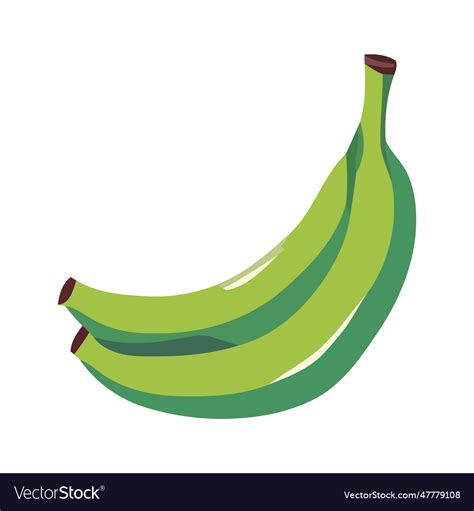 Green banana fruit tropical icon Royalty Free Vector Image