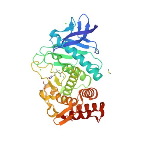 RCSB PDB 6SC0 THERMOLYSIN IN COMPLEX WITH FRAGMENT J22