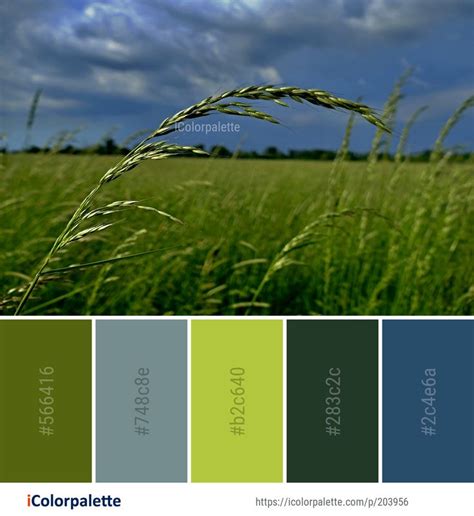 Color Palette Ideas From 3434 Grass Images Icolorpalette Soothing Paint Colors Paint Colors