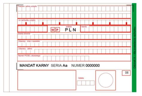 Mandat Karny Rodzaje Wz R Jak Zap Aci Najwa Niejsze Informacje