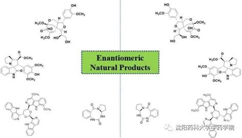 我校在植物来源的对映异构体研究方面取得新进展 中药学院 沈阳药科大学