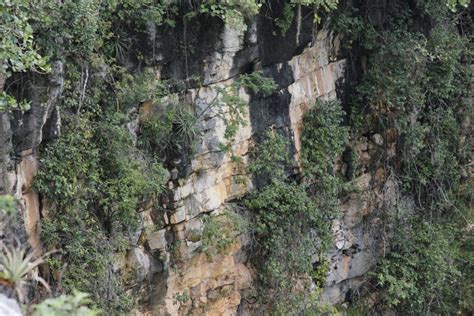 Excursi N A La Sima De Las Cotorras Y Cascada El Aguacero Desde San