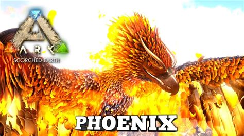 Taming A Phoenix Ark Survival Evolved Scorched Earth YouTube