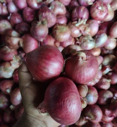 Dry Maharashtra A Grade Red Onion Loose Onion Size Available Medium