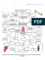 Body Systems Graphic Organizer Arkeavies Course Hero Worksheets