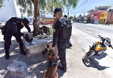 Policías Municipales Han Realizado Más De 74 Mil Detenciones En El 2019 Palestra