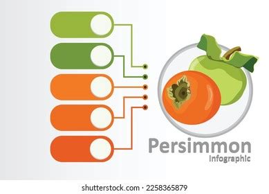 629 Organic Food Circle Chart Images, Stock Photos & Vectors | Shutterstock