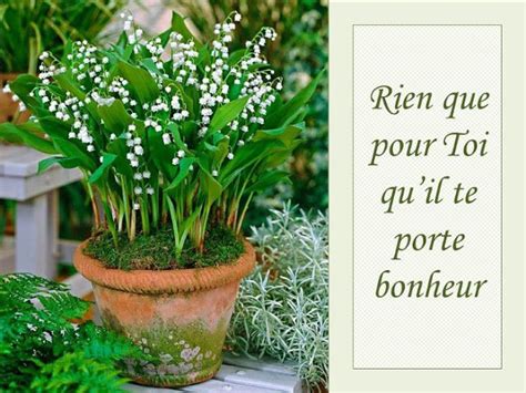 Pourquoi Offre T On Du Muguet Au 1er Mai Garden Containers