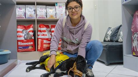 Segunda campaña de esterilizacion canina y felina gratuita Noticias