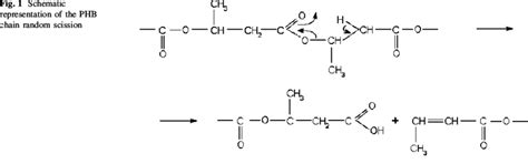 Schematic representation of the PHB chain random scission | Download ...