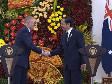 Presiden Jokowi Dan Pm Albanese Bahas Kerja Sama Ekonomi Tagar