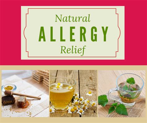 Beat Seasonal Allergies 4 Natural Remedies Natural Allergy Relief Natural Remedies For