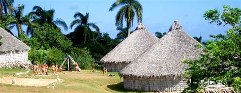 Daily Life - Taino Museum