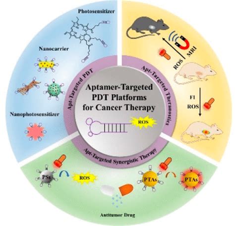 Aptamer Targeted Photodynamic Platforms For Tumor Therapy Acs Applied