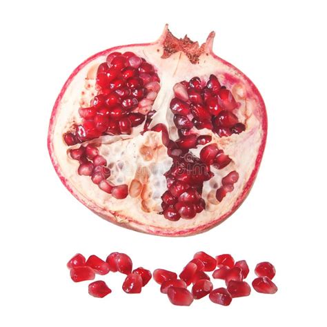 Piece Of Pomegranate Stock Image Image Of Seed Organic 198041107