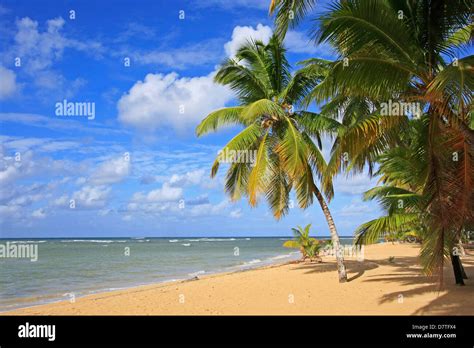 Las Terrenas beach, Samana peninsula, Dominican Republic Stock Photo ...