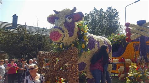 The 2018 flower parade - Sightseeing Scientist