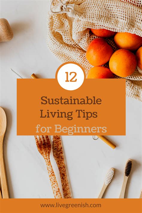 12 Sustainable Living Tips For Beginners In 2021 Sustainable Living