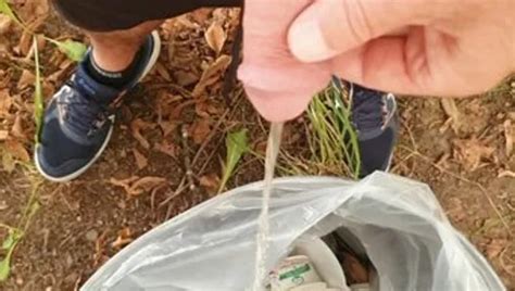 Master Ramon Pisses Horny In The Park Golden Shower Xhamster