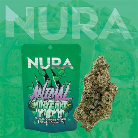 Animal Mint Cake - Nura