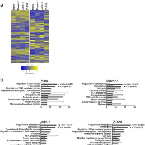 Characterization Of The Novel CDK7 Inhibitor QS1189 A Selectivity