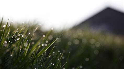 Wallpaper Sunlight Mountains Water Sky Field Morning Mist