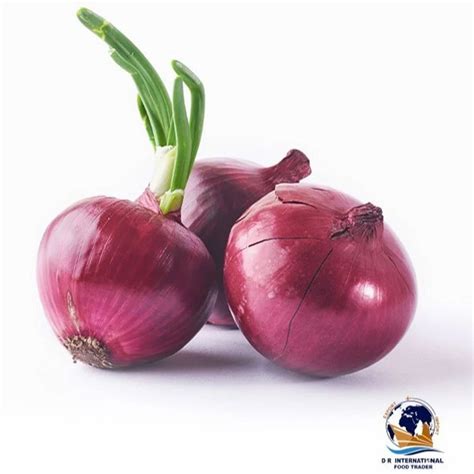 Nashik Organic Red Onion A Grade Onion Size Mm At Rs Kg In Dhule