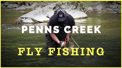 Penns Creek PA Fly Fishing for Incredible Wild Brown Trout! | Suffering ...