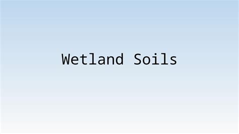 (PPTX) Wetland Soils. What is soil? Soil: A natural body of mineral ...