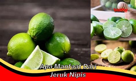 Temukan Manfaat Jeruk Nipis Yang Jarang Diketahui Biotifor