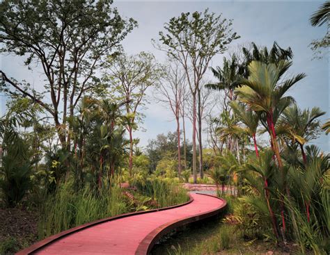 Jurong Lake Gardens to be S'pore’s first national gardens in the heartland