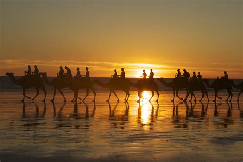 Best Sunset Views in Broome | Sunset-Seeking Spots in Broome