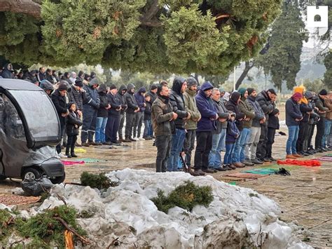 Friday prayer held in Al-Aqsa Mosque (photo) | Taghribnews (TNA)