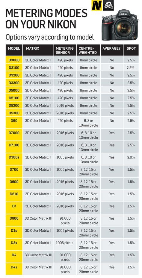 Canon Vs Nikon Which Camera Should You Buy Dslr Photography Tips